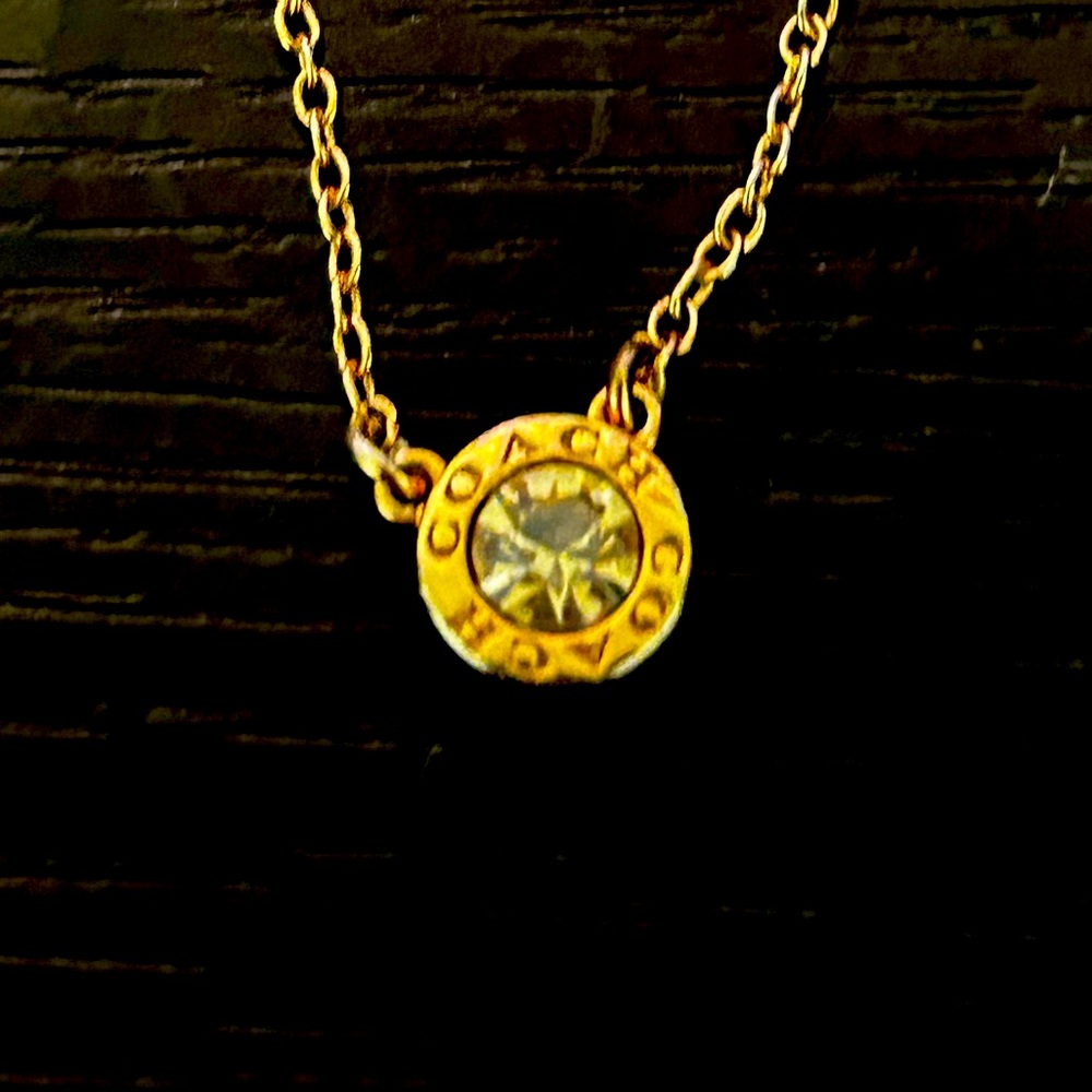 Coach Women's Signature Stone Pendant Necklace